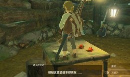 塞尔达吃瓜的女子,探寻她的神秘面纱