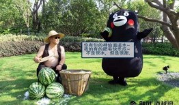 微山吃瓜事件后续故事