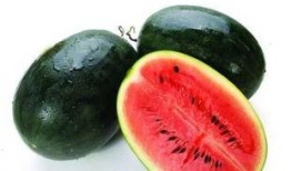 团建15人吃瓜,15人共享瓜果盛宴