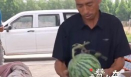 吃瓜赛道是什么,网络热议背后的娱乐现象解析