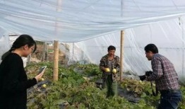 吃瓜群众3246,一场全民参与的舆论风暴