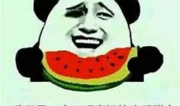 我们的日常吃瓜,揭秘娱乐圈那些事儿