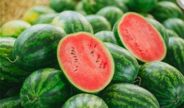 南京吃瓜哪里好