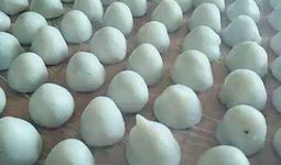 团子吃瓜泡泡,揭秘娱乐圈的甜蜜与苦涩