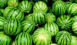 吃瓜被暴,揭秘网络暴力的阴影面