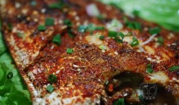 出门觅食吃瓜,畅享夏日吃瓜盛宴