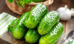 韩城吃瓜真相,一场网络热议背后的真相剖析