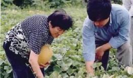 财务助理吃瓜,揭秘职场八卦背后的财务智慧