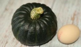 妈妈吃蛋瓜,蛋瓜美食之旅