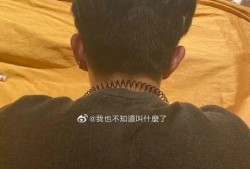 吃瓜聊天音频下载,一场趣味横生的网络盛宴