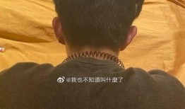 吃瓜聊天音频下载,一场趣味横生的网络盛宴