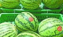 直播武汉吃瓜,一场别开生面的“吃瓜”盛宴