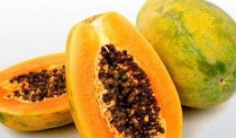 梦见大家都在吃瓜,全民瓜香，揭秘梦境中的神秘吃瓜盛宴