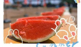 吃瓜也是认真的,揭秘网络舆论背后的真相