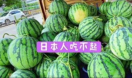 吃瓜十一,揭秘娱乐圈背后的那些事儿