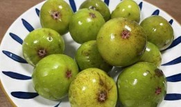 一味吃瓜,揭秘一味吃瓜的奇妙世界