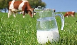 国货品牌吃瓜,吃瓜群众见证本土品牌新风尚