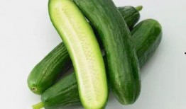 晚上吃乳瓜,探寻夜晚美食的独特魅力