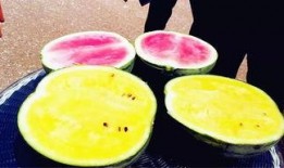 吃瓜爆网,揭秘娱乐圈幕后真相，带你走进明星生活