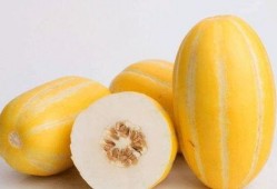 没事聪慧吃瓜,揭秘娱乐圈背后的故事