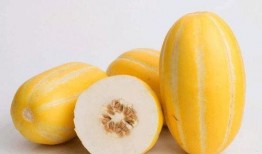 没事聪慧吃瓜,揭秘娱乐圈背后的故事