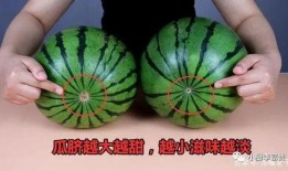 吃瓜了的声声,揭秘娱乐圈风云变幻