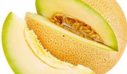痛风吃的哈密瓜,哈密瓜的神奇食疗功效