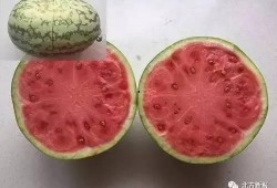 避开吃瓜,享受宁静生活