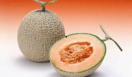 吃哈密瓜后能吃苹果吗,食用搭配的合理选择