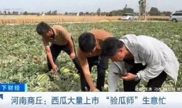 湖师文理吃瓜,吃瓜群众揭秘校园热点