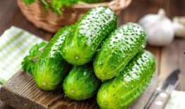 吃瓜嘴里苦,揭秘背后真相与反思