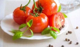 天天吃瓜番茄小说