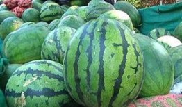 吃瓜如何分享,轻松打造你的趣味资讯圈