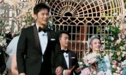 会长吃瓜协会白鹿,揭秘娱乐圈的“瓜田”趣事