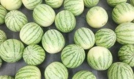 当当网吃瓜群众,揭秘网络购物背后的故事