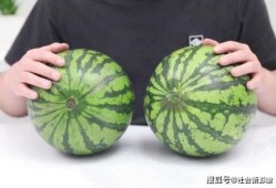 野生沙瓜怎么吃,探索自然美味的新境界