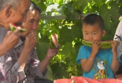 靖远吃瓜群众新闻,最新新闻事件深度解析