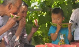 靖远吃瓜群众新闻,最新新闻事件深度解析