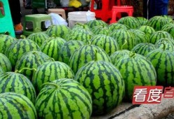 吃瓜自贡,探寻吃瓜者的自贡风味盛宴