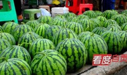 吃瓜自贡,探寻吃瓜者的自贡风味盛宴