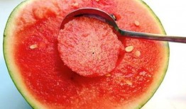 吃瓜勺子家用,家用神器背后的创新与智慧