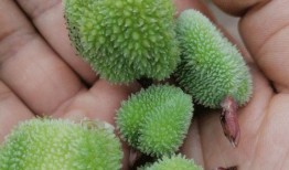 没事聪慧吃瓜,揭秘娱乐圈背后的故事