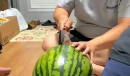 吃瓜直播吃瓜,揭秘吃瓜群众的狂欢盛宴