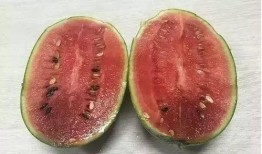 吃瓜吐籽的人,吃瓜吐籽的人生哲学