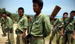 缅甸打仗吃瓜事件始末,一场“吃瓜”事件的始末与反思